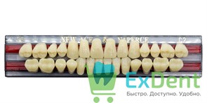 Гарнитур акриловых зубов C2, T6, Naperce и New Ace (28 шт) 20196