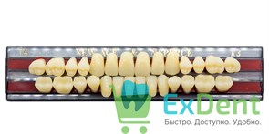 Гарнитур акриловых зубов A3, T4, Naperce и New Ace (28 шт) 14086