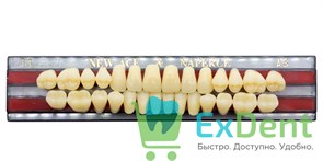 Гарнитур акриловых зубов A3, T1, Naperce и New Ace (28 шт) 14081