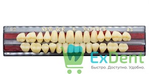 Гарнитур акриловых зубов A3, S2, Naperce и New Ace (28 шт) 18763