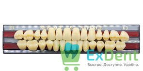 Гарнитур акриловых зубов A3, S4, Naperce и New Ace (28 шт) 14085