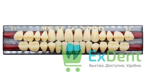 Гарнитур акриловых зубов A2, S5, Naperce и New Ace (28 шт) 20157