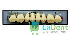 Гарнитур акриловых боковых зубов A3.5, M33U Naperce Posterior (8 шт) 17960