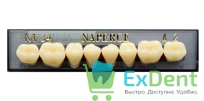 Гарнитур акриловых боковых зубов A2, M34L Naperce Posterior (8 шт) 17961