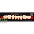 Гарнитур боковых зубов  Efucera PX - нижние, цвет A2 фасон 32, композитные трехслойные (8шт) 14454 - фото 35696