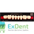 Гарнитур боковых зубов  Efucera PX - нижние, цвет A2 фасон 34, композитные трехслойные (8шт) 14768 - фото 35754