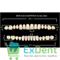 Гарнитур акриловых зубов B1, S3, Naperce и New Ace (28 шт) 20962 - фото 35818