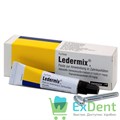 Ledermix (Ледермикс) - противомикробный препарат для местного лечения заболеваний полости рта (5 г) 16141 - фото 26481